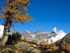 фото отеля Hotel Rezia Chiesa in Valmalenco