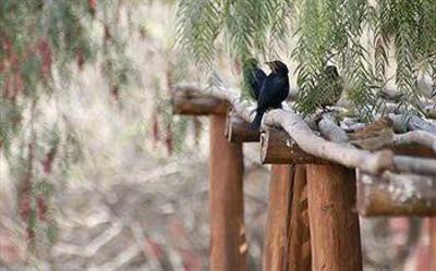 фото отеля Posada Con Los Ángeles
