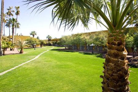 фото отеля Doubletree by Hilton Tucson - Reid Park