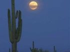 фото отеля Doubletree by Hilton Tucson - Reid Park