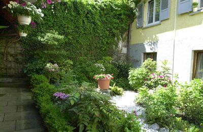 фото отеля Hotel Seerose Lindau
