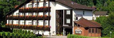 фото отеля Berghotel Wolfshagen