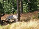 фото отеля Berghotel Wolfshagen