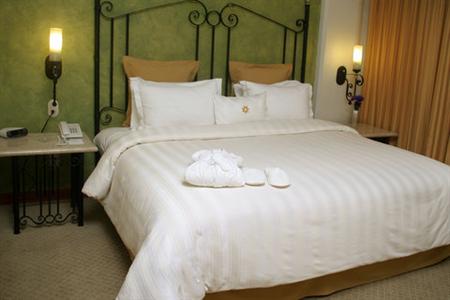 фото отеля Holiday Inn Hotel & Suites Centro Historico