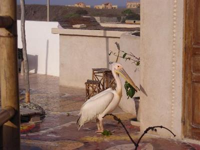 фото отеля La Maison Abaka