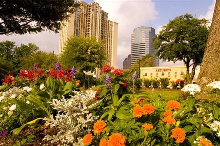 фото отеля Hilton Garden Inn Houston Galleria