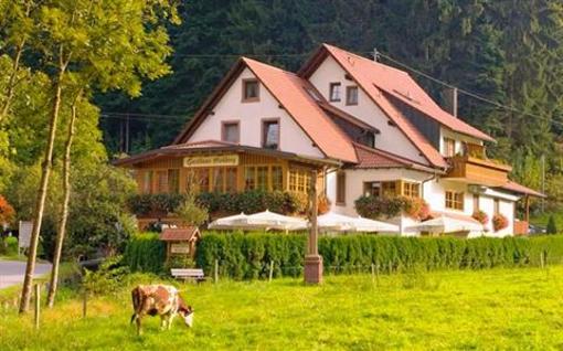 фото отеля Pension Hohberg