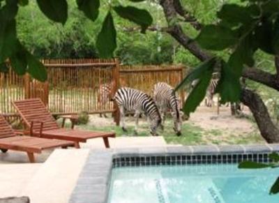 фото отеля Turaco Lodge