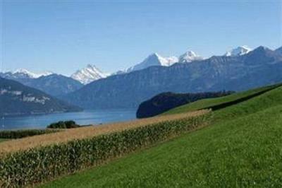 фото отеля Bellevue Hotel Spiez