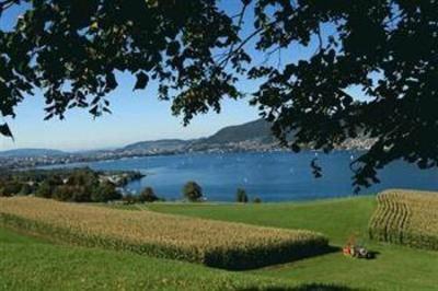 фото отеля Bellevue Hotel Spiez