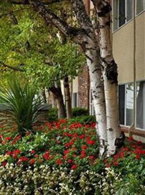 фото отеля Royal Scot Hotel & Suites