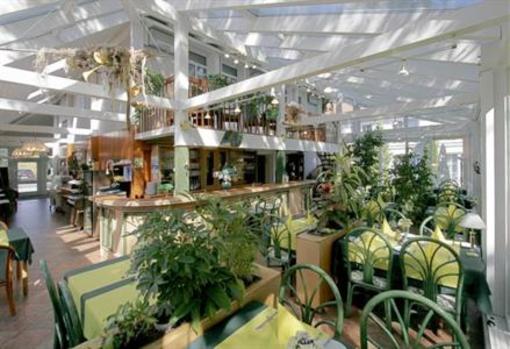 фото отеля Hotel Gruner Baum