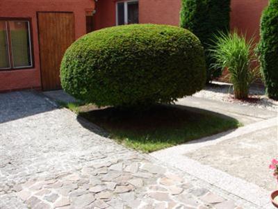 фото отеля Ambiente Pension