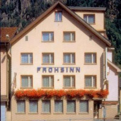 фото отеля Hotel Frohsinn Erstfeld