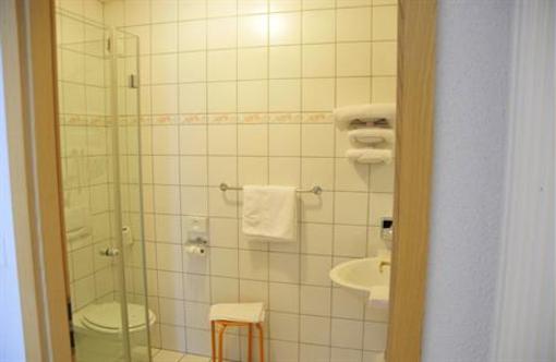 фото отеля Hotel Restaurant Sud Alsace Ranspach-le-Bas
