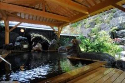 фото отеля Okuhida Yakushi No Yu Honjin