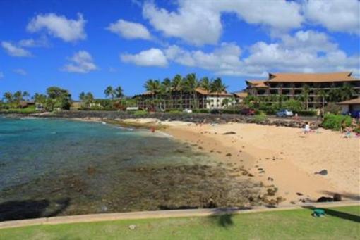 фото отеля Kuhio Shores Condos