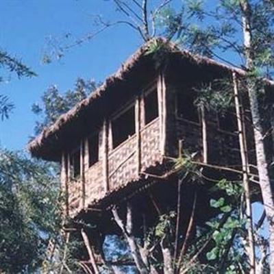 фото отеля Edakkal Hermitage