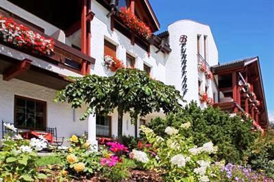 фото отеля Hotel Brunnerhof