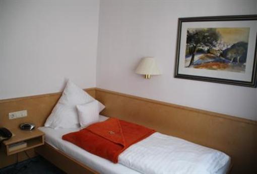 фото отеля Hotel Zum Riesen