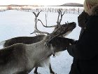 фото отеля Hotel Arctic Eden