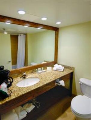 фото отеля Holiday Inn Fort Myers Downtown Historic