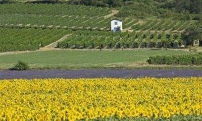 фото отеля Logis La Demeure De Grane