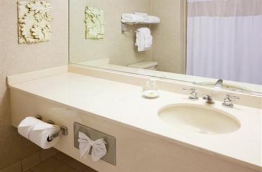 фото отеля Holiday Inn MPLS St Paul Arpt-Mall Of America