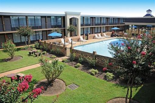 фото отеля BEST WESTERN Greenville Airport Inn