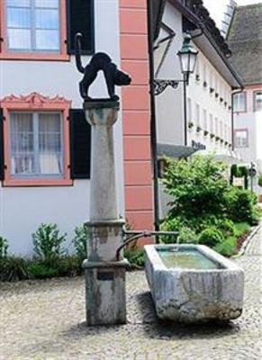 фото отеля Ringhotel Goldener Knopf