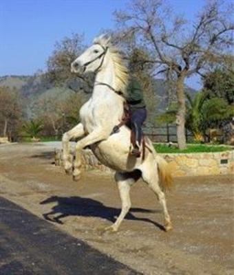 фото отеля Tenuta Luogo Marchese Castelbuono