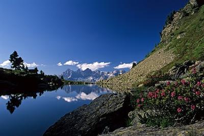 фото отеля Wander - & Langlaufhotel Almfrieden