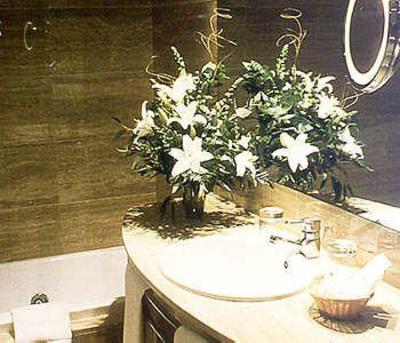 фото отеля Hotel Turo de Vilana