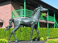 Roosevelt Inn & Suites