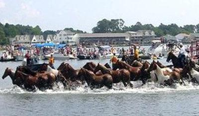 фото отеля BEST WESTERN PLUS Chincoteague Island