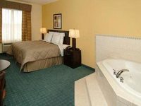 Comfort Inn & Suites Saint Petersburg