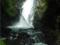 Cataratas Bijagua Lodge