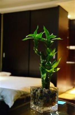 фото отеля Hangzhou C&Q Residence Xingguang Branch