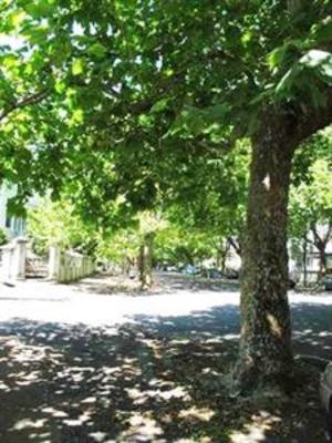 фото отеля Ponsonby Backpackers