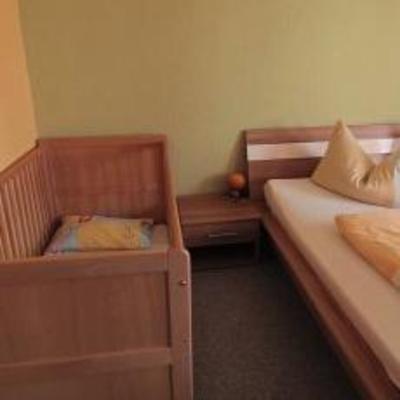 фото отеля Landgasthof und Hotel Zum Hirsch