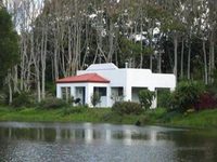 Spicy Oasis Cottages Caloundra