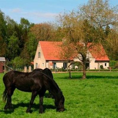 фото отеля B&B Heerlijkhyd
