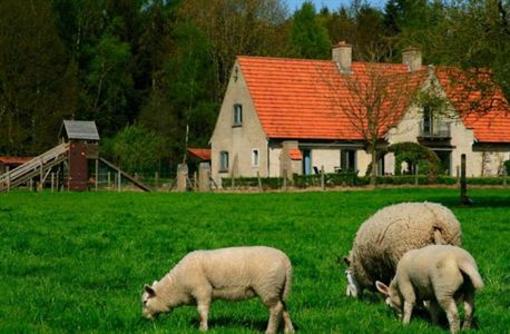 фото отеля B&B Heerlijkhyd