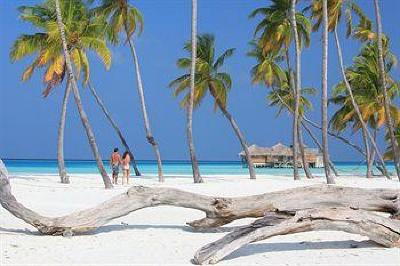 фото отеля Gili Lankanfushi Maldives