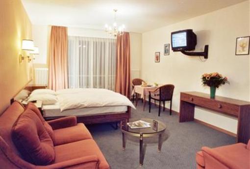 фото отеля Hotel Alpes & Rhone