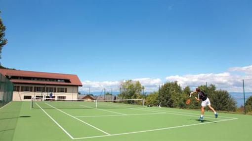 фото отеля Park & Suites Evian Les Bains Lugrin