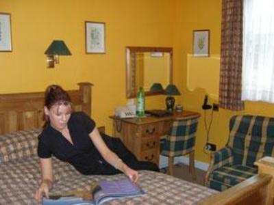 фото отеля Wynnstay Hotel Machynlleth