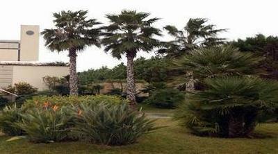 фото отеля Nicotel Hotel Barletta