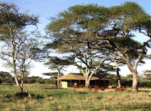 фото отеля Lemala Ndutu Tented Camp Serengeti