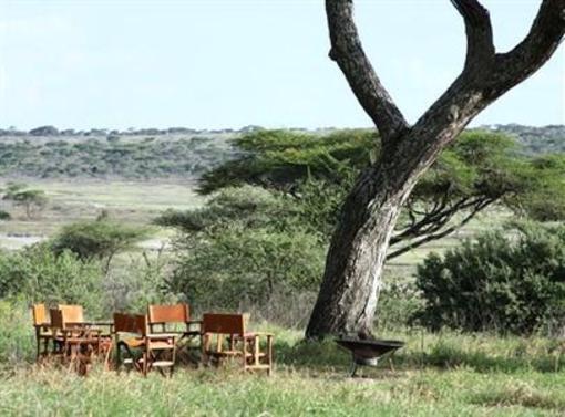 фото отеля Lemala Ndutu Tented Camp Serengeti